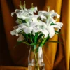 Lily Flower Bulbs – Winter Bloom