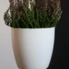 White Ceramic Pot – 6 Inch White Ceramic Pot – 6 Inch