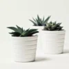 White Ceramic Pot – 6 Inch White Ceramic Pot – 6 Inch