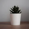 White Ceramic Pot – 6 Inch White Ceramic Pot – 6 Inch