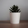 White Ceramic Pot – 6 Inch White Ceramic Pot – 6 Inch