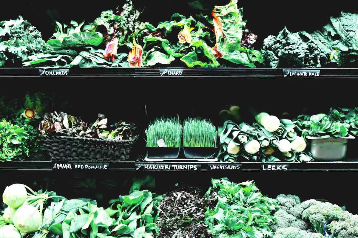 Plants by Features