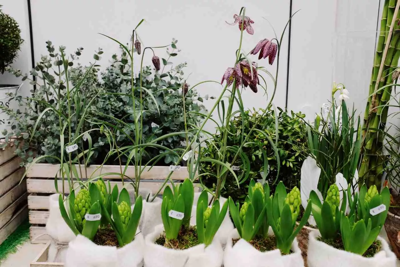 Plants by Season