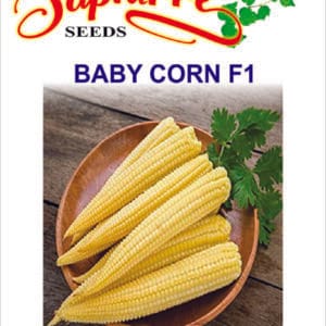 Premium Baby Corn F1 Hybrid Seeds