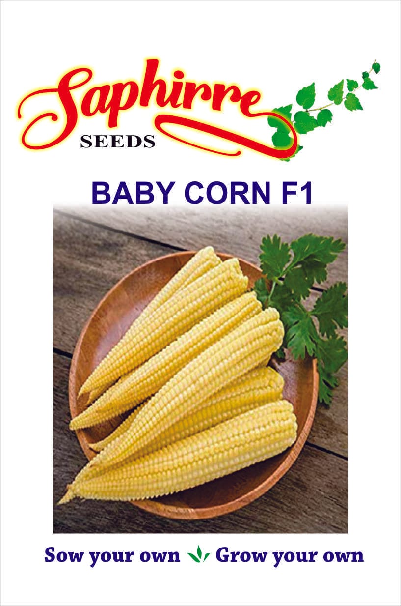 BABY-CORN