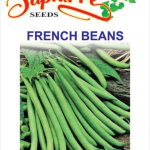 Premium France Beans Black Seeds