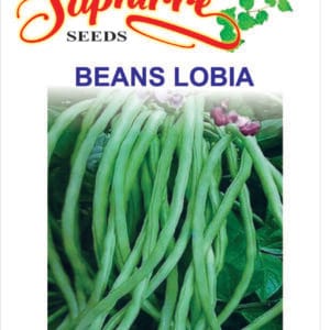 Premium Lobia Beans (Black-Eyed Peas) Seeds