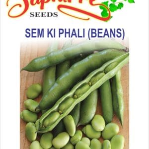 Premium Sem Phali (Lima Beans) Seeds