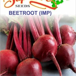 Premium Beetroot Imported Seeds