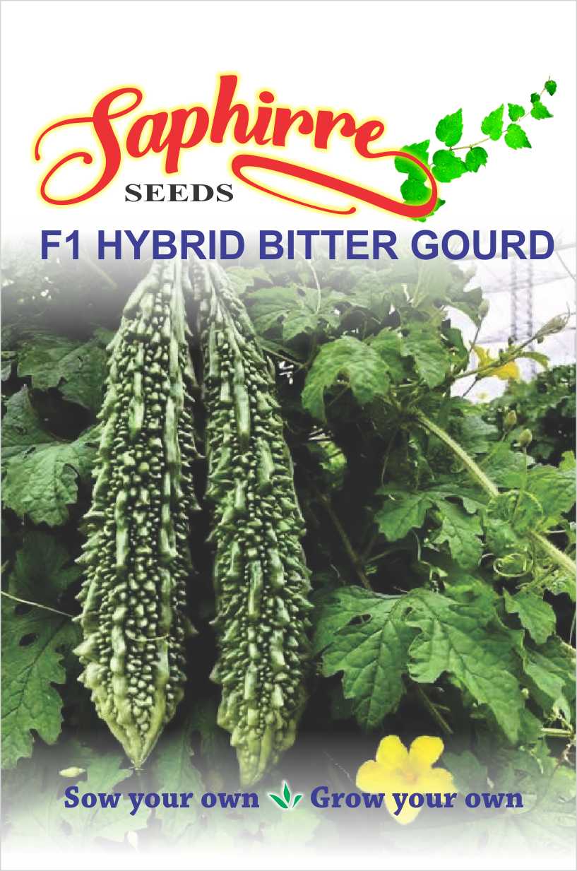 bitter-gourd