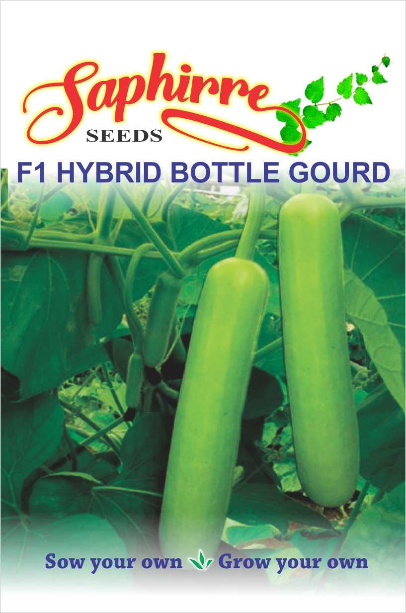 bottle-gourd-long