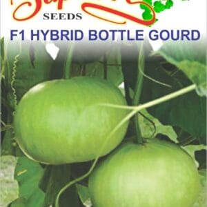 Premium Bottle Gourd F1 Hybrid Round Seeds