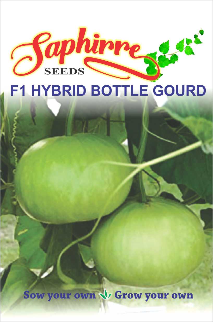 bottle-gourd-round