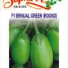brinjal-green-round