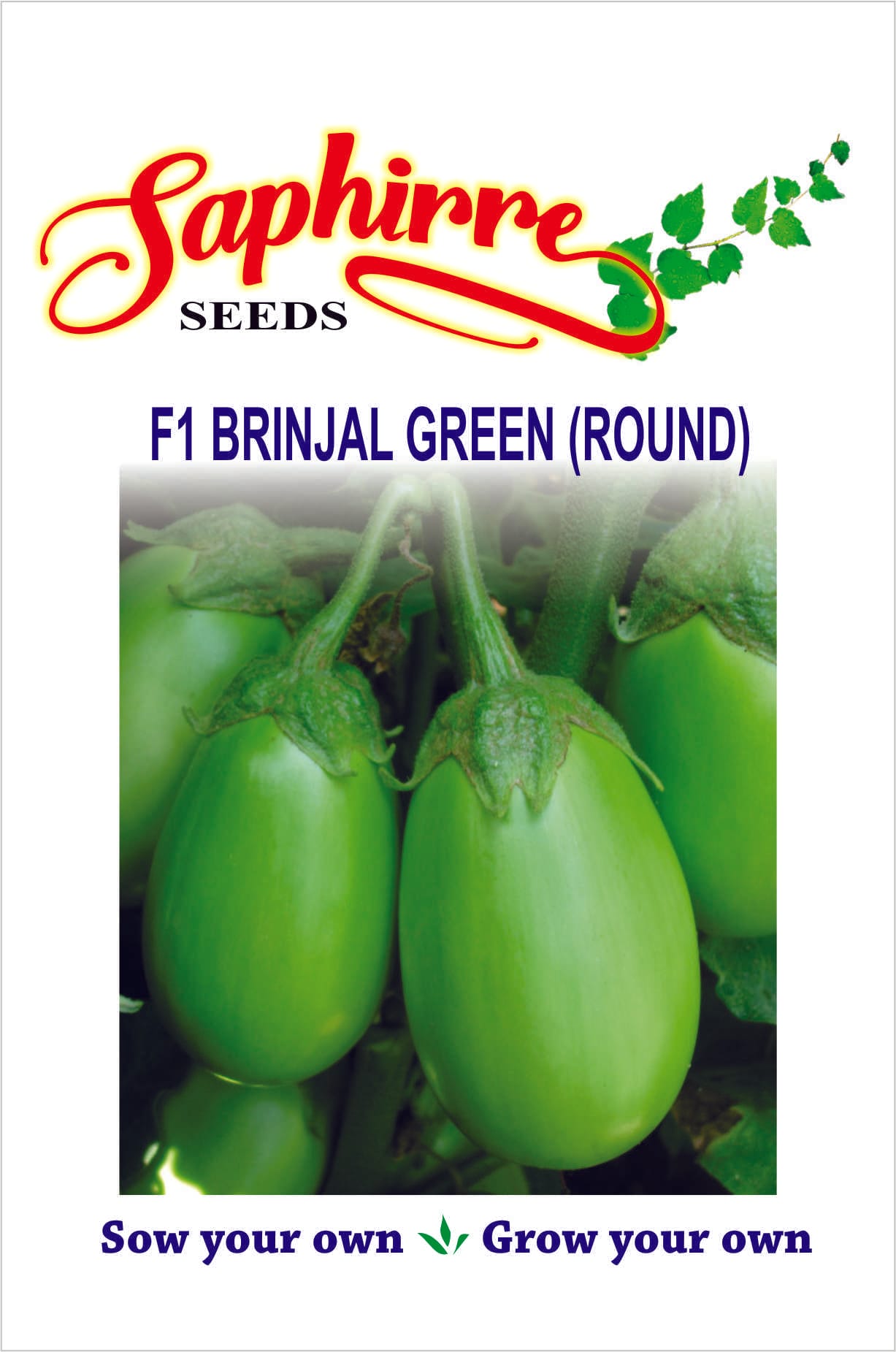 brinjal-green-round
