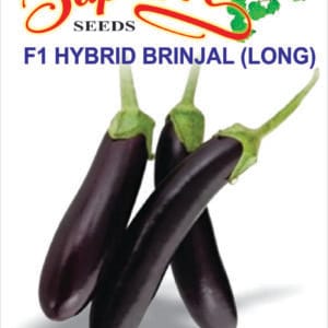 Premium Brinjal F1 Hybrid Long Seeds