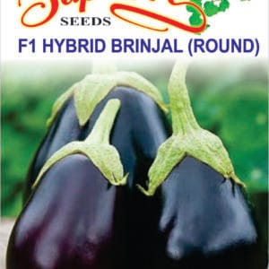 Premium Brinjal F1 Hybrid Round Seeds