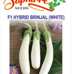 Premium Brinjal F1 Hybrid White Long Seeds