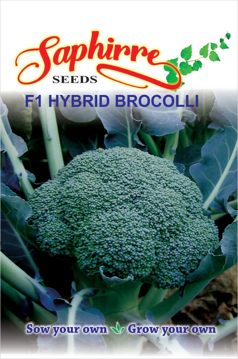 brocolli