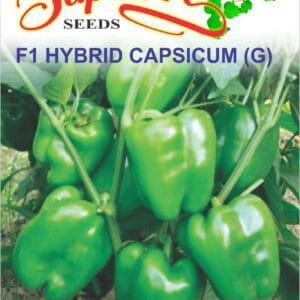 Premium Capsicum F1 Hybrid Green Seeds