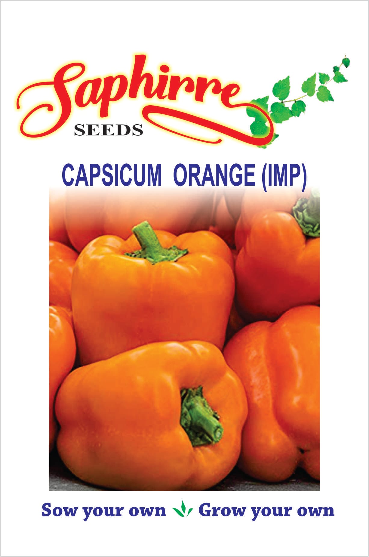 capsicum-orange
