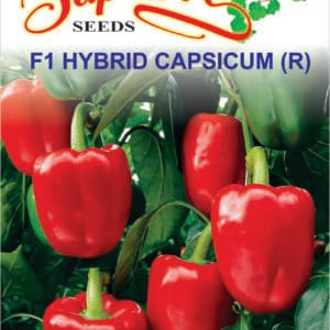 Premium Capsicum Red F1 Hybrid Seeds
