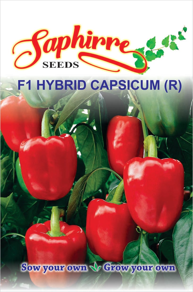 capsicum-red