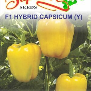 Premium Capsicum Yellow F1 Hybrid Seeds