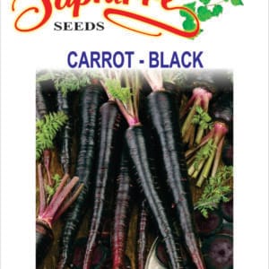 Premium Carrot Black Wonder Seeds