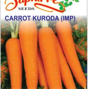 Premium Carrot kuroda Seeds (Imp)