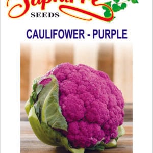Premium Cauliflower Di Sicilia Violetto Seeds – Stunning Purple Heirloom Seeds