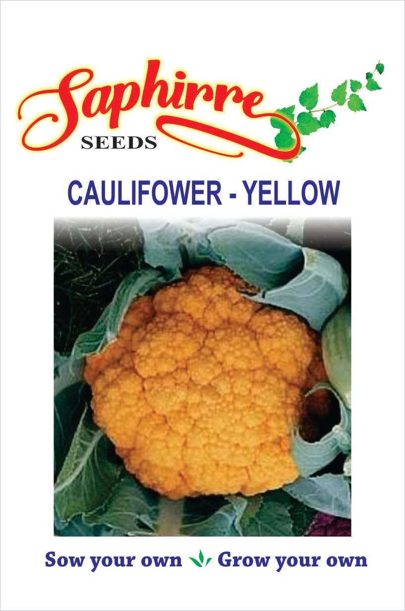 cauliflower-yellow