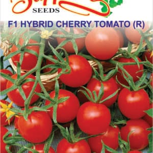 Premium Cherry Tomato F1 Hybrid Seeds
