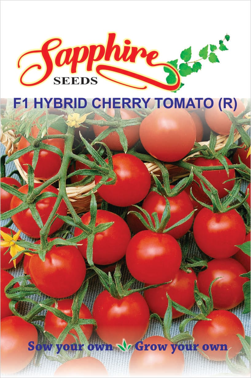 cherry-tomato-r