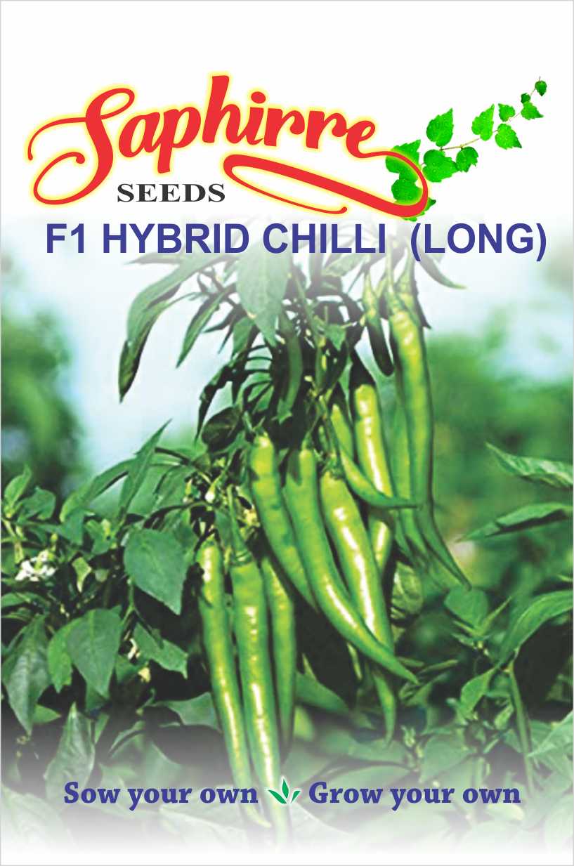 chilli-long