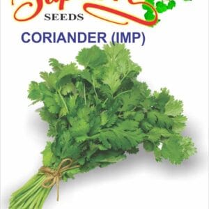 Premium Coriander Green Aroma Seeds