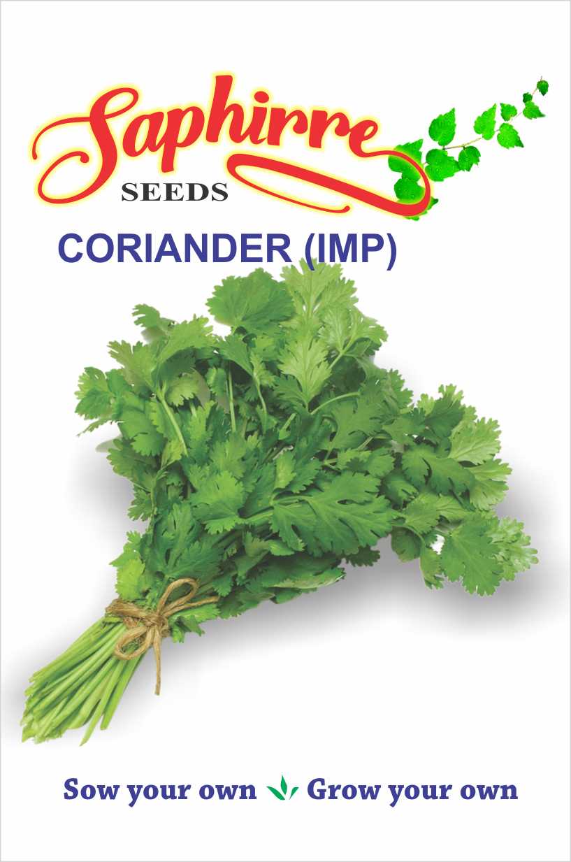corriander
