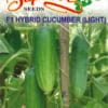 cucumber-light