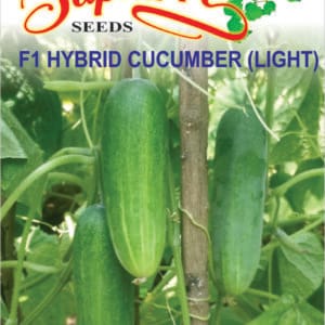 Premium Cucumber F1 Hybrid Light Seeds