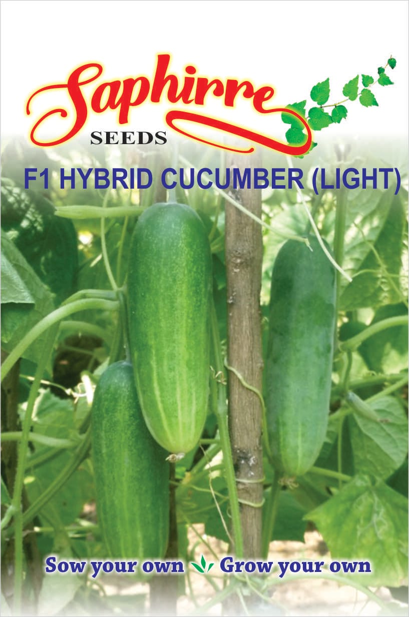 cucumber-light