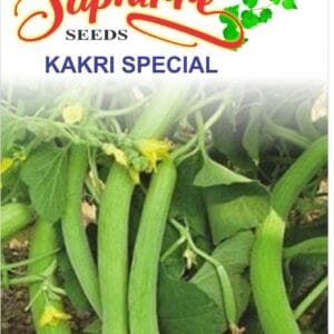 Premium Long Melon Kakri Special Seeds