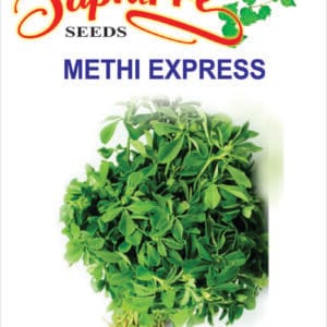 Premium Methi Express Seeds