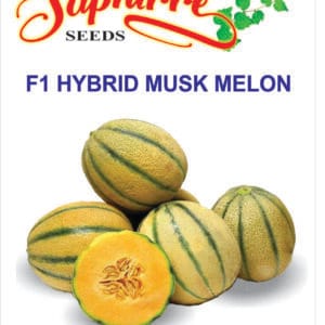 Premium Muskmelon F1 Hybrid Seeds