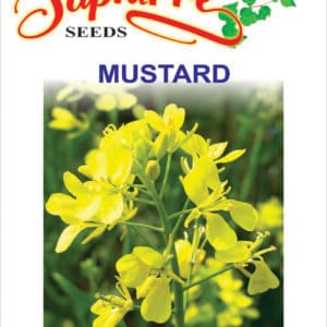 Premium Mustard Seeds