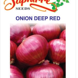 Premium Onion Nasik Red Seeds