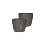 Valencia Mocca Set of 2