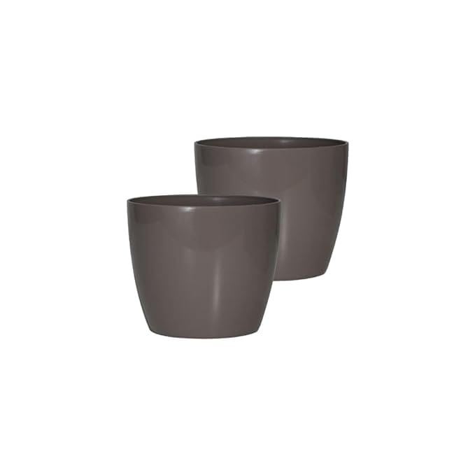 31B1i6r76lL._SX679_