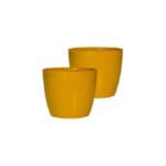 Valencia Yellow Set of 2