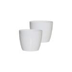 Valencia White Set of 2