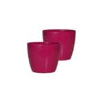 Valencia Pink Set of 2